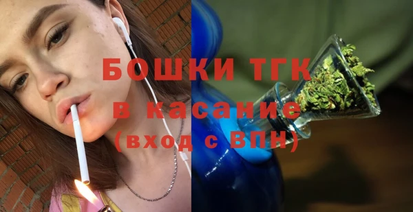 гидра Липки