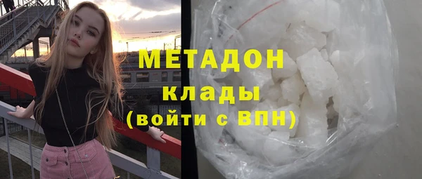 прущие грибы Абаза