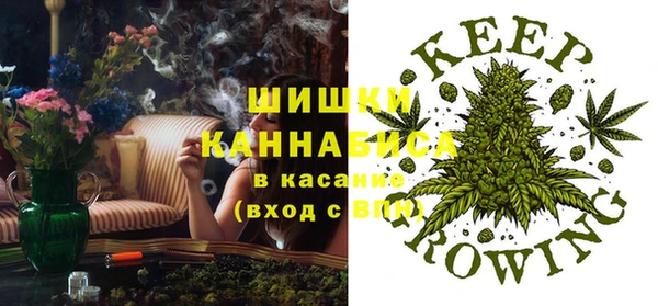 прущие грибы Абаза