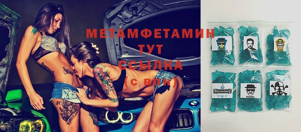 гидра Липки