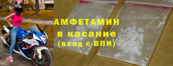 прущие грибы Абаза