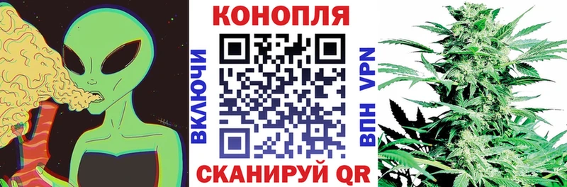 Бошки Шишки MAZAR  Дербент 